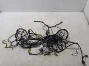 Innenkabelbaum (links) NISSAN QASHQAI II (J11, J11_) 1.6 dCi 240174EB2B