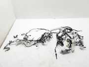 Kabelbaum Toyota C-HR (X1) 82141F4410