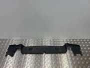 Kühlerluftumlenker BMW X3 (G01, F97) M Competition 7399997