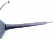 Antenne Dach Nissan Qashqai (J10)