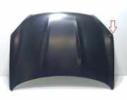 Motorhaube Nissan Qashqai II (J11) 275903