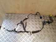 Kabel Tür Renault Grand Scenic III (JZ) 241275076R