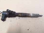 Düsenstöcke Opel Signum (Z-C/S) 0445110243