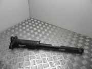 Stoßdämpfer rechts hinten Alfa Romeo Giulia (952) 50544269