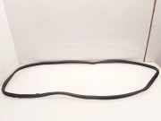 Dichtungsgummi für die hintere linke Tür RENAULT KOLEOS II 2.0 dCi 175 4WD