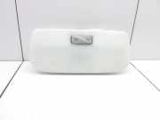 Innenleuchte Renault Megane III Schrägheck (BZ) 264300007R