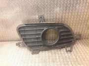Gitter vorne unten MERCEDES-BENZ A (W169) A 160 CDI (169.006, 169.306) a1698850622 1698850622