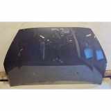 Motorhaube FORD GALAXY (WA6) 2.2 TDCi