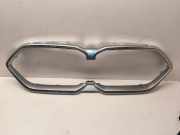 Gitter BMW X2 (U10) sDrive 20 i 13310030020