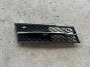 Gitter Grill vorne rechts BMW 5 (F10) 525 d 7200700