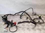 Kabel Tür Hyundai iX35 (LM) 916012Y010