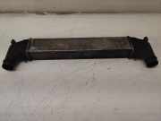 Ladeluftkühler VW SHARAN (7M8, 7M9, 7M6) 1.9 TDI 7M0145805