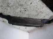 Kraftstoffkühler (Kühler) MERCEDES-BENZ E (W210) E 220 CDI (210.006) PA66GF30