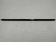 Türverkleidung rechts hinten Citroen C4 II ()