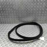 Türgummi rechts vorne Mercedes-Benz S-Klasse (W221) A2216970551