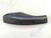 Dachgriff hinten links RENAULT LAGUNA II Grandtour (KG0/1_) 1.9 dCi 8200020498