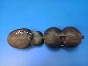 Unterdruckdose für Vergaser Mercedes-Benz E-Klasse (W124) C126