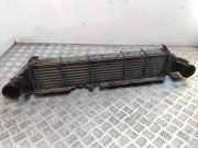 Ladeluftkühler Mercedes-Benz C-Klasse (W203) A2035000600