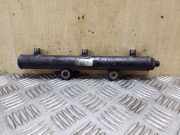 Einspritzleiste Land Rover Discovery III (L319) A2C20001330