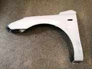 Kotflügel vorne links HYUNDAI i30 (FD) 1.6