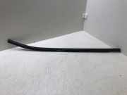 Vertikale Verkleidung an der hinteren rechten Tür FORD FIESTA VII 1.0 EcoBoost