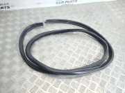 Türdichtung BMW 1er (E81) 7066618