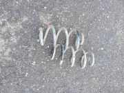 Schraubenfeder hinten links RENAULT KOLEOS I (HY_) 2.0 dCi (HY0K)