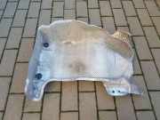 Hitzeschutz VW GOLF VIII (CD1) 1.5 TSI Bluemotion 5Q0825729C