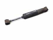 Stoßdämpfer hinten links