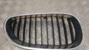 Gitter Grill vorne rechts BMW 5 Touring (E61) 530 d 7027062