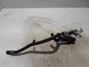 Wasserkühlerschlauch rechts VOLVO XC40 (536) 1.5 T3 31461890