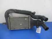 Ladeluftkühler Opel Zafira A (T98) 24436438