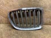 Vorderer oberer Gitter BMW X1 (E84) sDrive 20 d 2993308