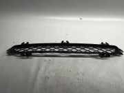Gitter vorne unten BMW X3 (F25) xDrive 35 i 10503411