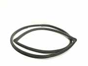 Türdichtung Toyota Corolla Verso (R1)