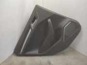 Türpolster hinten links