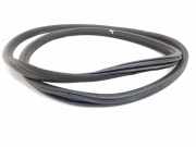 Türgummi links vorne Citroen DS5 ()