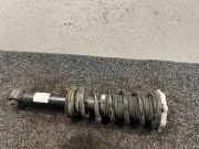 Stoßdämpfer hinten links