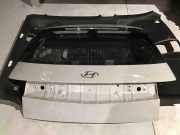 Heckklappe geschlossen Hyundai Ioniq (AE)
