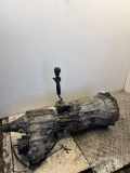 Getriebe ISUZU D-MAX I (TFR, TFS) 3.0 DiTD 4x4 (TFS85_) 8980287660