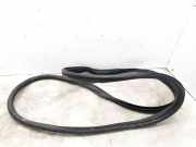 Türdichtungsgummi vorne links FIAT TIPO Hatchback (357_) 1.6 D