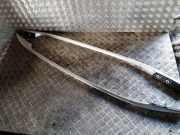 Dachreling links Infiniti EX (J50)