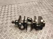 Kurbelwelle AUDI A6 Allroad (4BH, C5) 2.5 TDI quattro 11412056