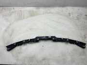 Gitter vorne unten BMW 4 Gran Coupe (F36) 430 d xDrive STP30011