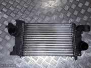 Ladeluftkühler Opel Meriva B () T2935004