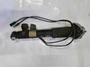 Stoßdämpfer hinten links BMW X5 (F15, F85) xDrive 30 d 0541310 6875087