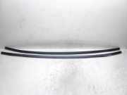 Dachleiste links MERCEDES-BENZ CLK (C209) 220 CDI (209.308)