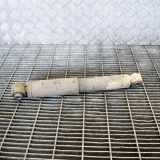 Stoßdämpfer hinten rechts