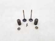 Einlassventile BMW 5 (F10) 550 i xDrive