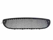 Gitter vorne unten SEAT TOLEDO III (5P2) 1.9 TDI ST0701201